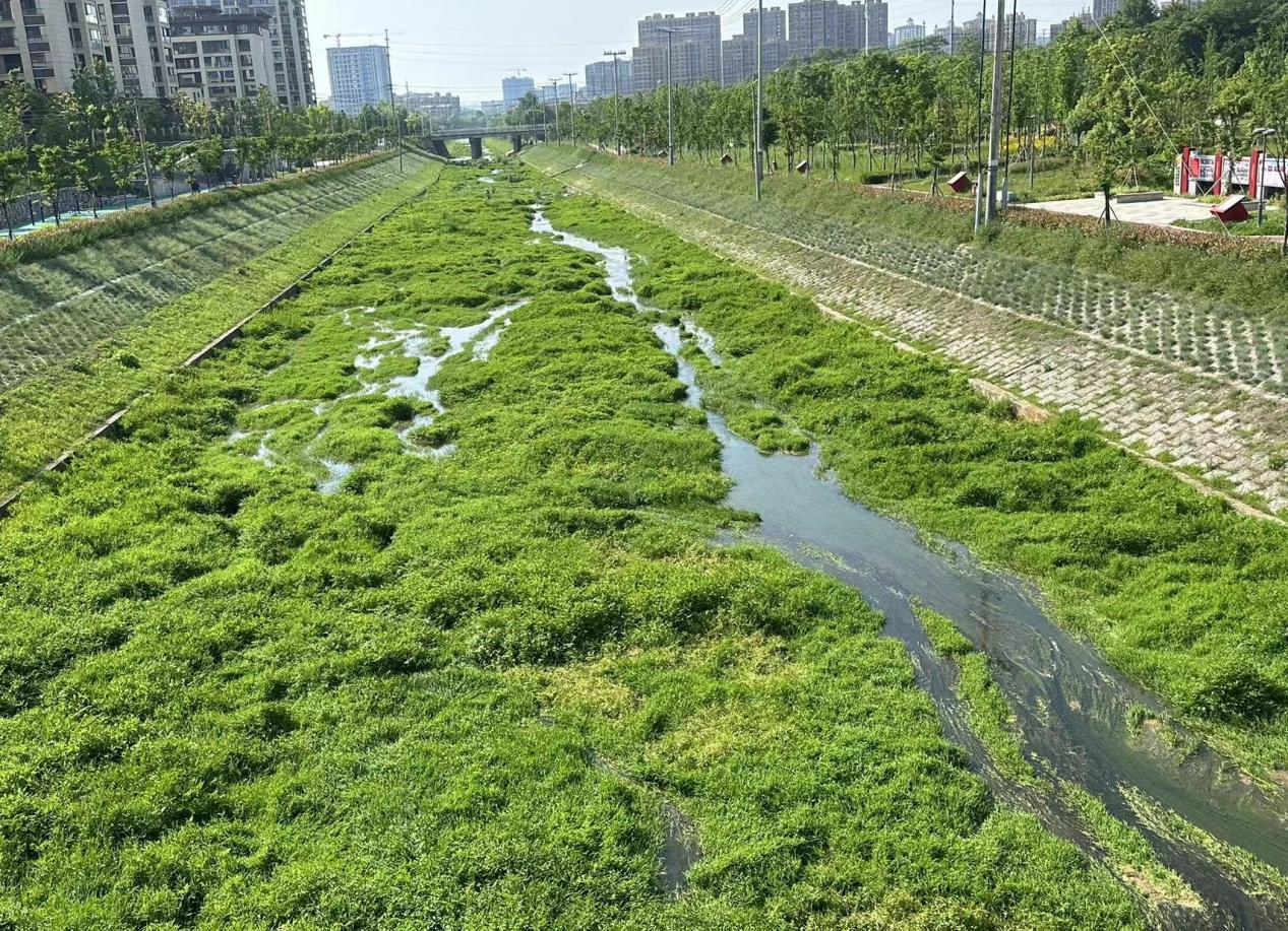 市水利局調研河湖養(yǎng)護工作